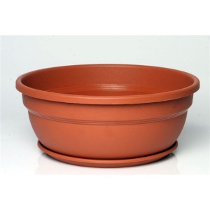 Cuia Vicenza com Prato Cerâmica - 28 cm – Desli